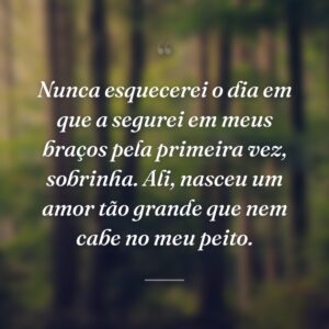 Nunca esquecerei o dia em que a segurei em meus braços pela primeira vez, sobrinha. Ali, nasceu um amor tão grande que nem cabe no meu peito.