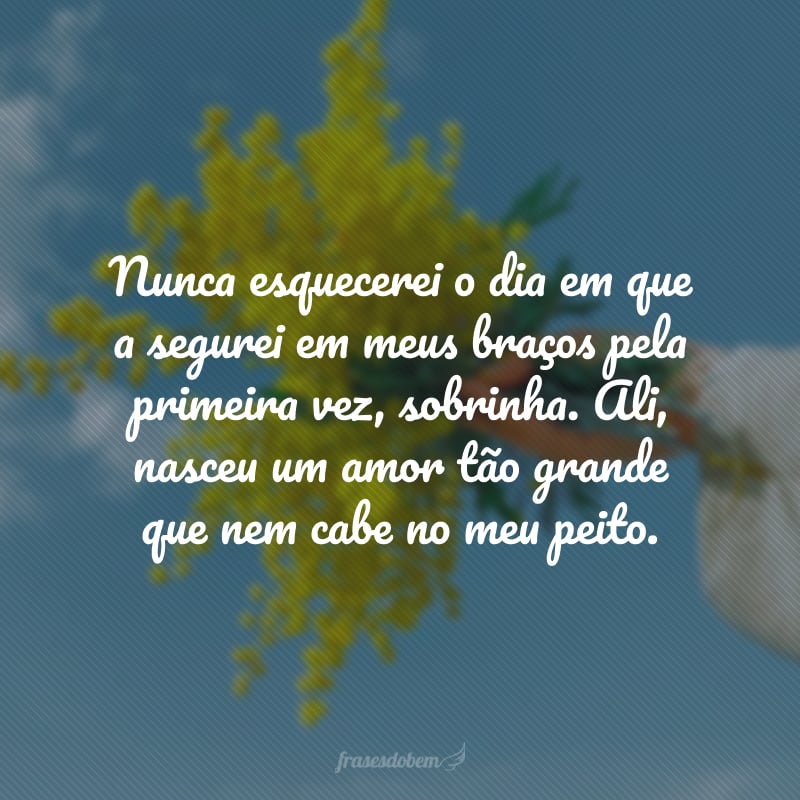 Nunca esquecerei o dia em que a segurei em meus braços pela primeira vez, sobrinha. Ali, nasceu um amor tão grande que nem cabe no meu peito.