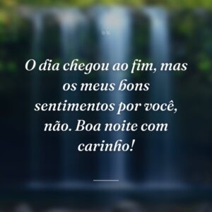 O dia chegou ao fim, mas os meus bons sentimentos por você, não. Boa noite com carinho!
