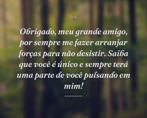 Obrigado, meu grande amigo, por sempre me fazer arranjar forças para não desistir. Saiba que você é único e sempre terá uma parte de você pulsando em mim!