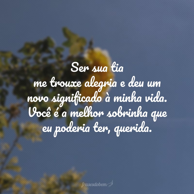 Ser sua tia me trouxe alegria e deu um novo significado à minha vida. Você é a melhor sobrinha que eu poderia ter, querida.