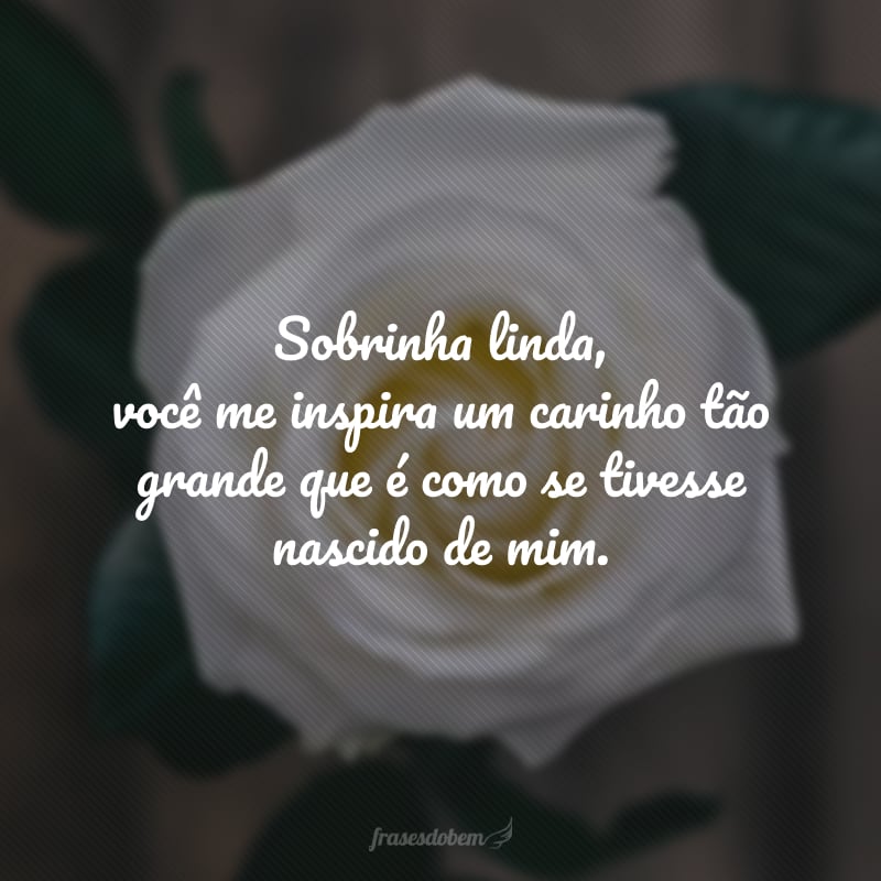 Sobrinha linda, você me inspira um carinho tão grande que é como se tivesse nascido de mim. Estarei sempre aqui para tudo que você precisar.