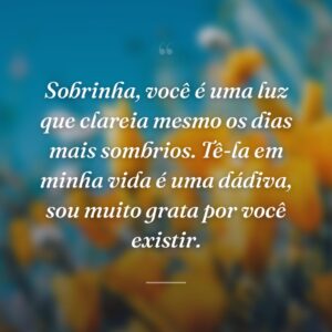 Sobrinha, você é uma luz que clareia mesmo os dias mais sombrios. Tê-la em minha vida é uma dádiva, sou muito grata por você existir.