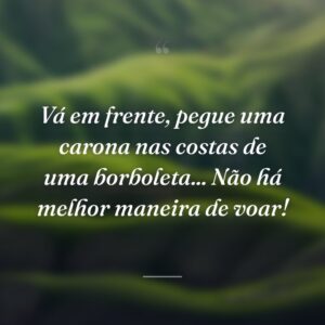 Vá em frente, pegue uma carona nas costas de uma borboleta... Não há melhor maneira de voar!