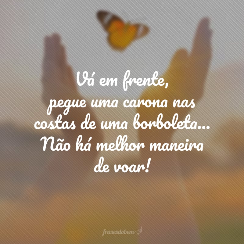 Vá em frente, pegue uma carona nas costas de uma borboleta... Não há melhor maneira de voar!