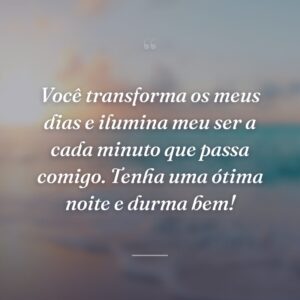 Você transforma os meus dias e ilumina meu ser a cada minuto que passa comigo. Tenha uma ótima noite e durma bem!
