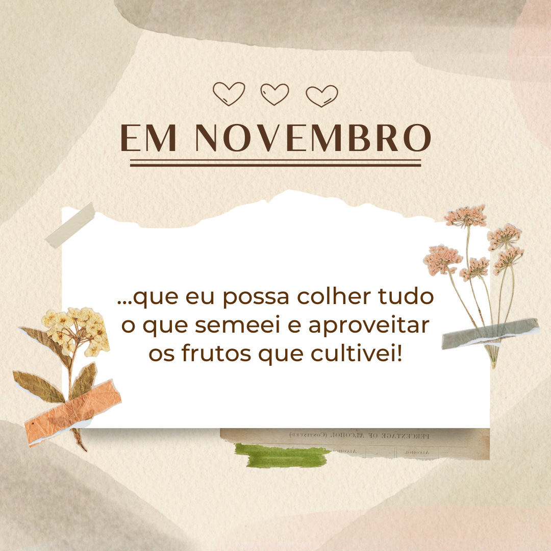 Em novembro que eu possa colher tudo o que semeei e aproveitar os frutos que cultivei!