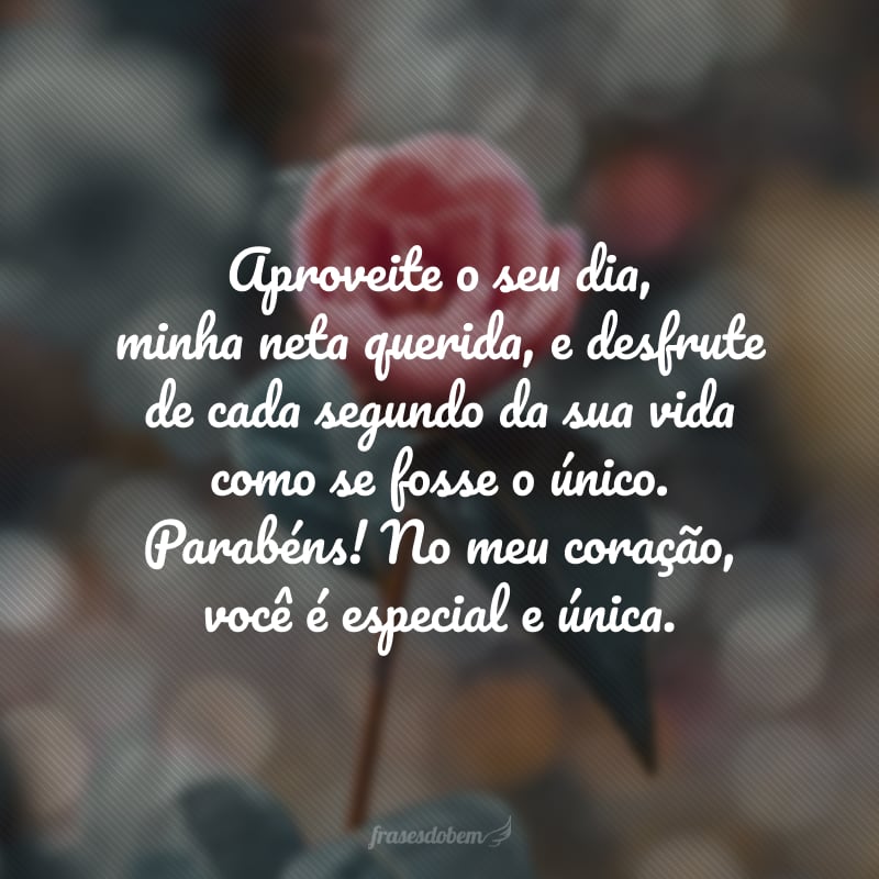 Aproveite o seu dia, minha neta querida, e desfrute de cada segundo da sua vida como se fosse o único. Parabéns! No meu coração, você é especial e única.