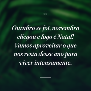 Outubro se foi, novembro chegou e logo é Natal! Vamos aproveitar o que nos resta desse ano para viver intensamente.