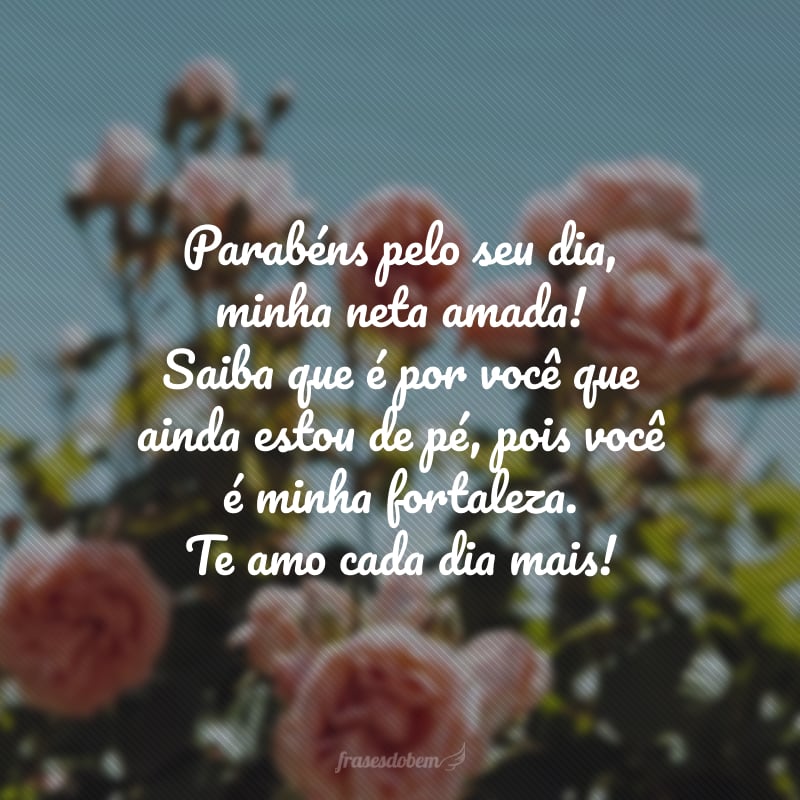 Parabéns pelo seu dia, minha neta amada! Saiba que é por você que ainda estou de pé, pois você é minha fortaleza. Te amo cada dia mais!