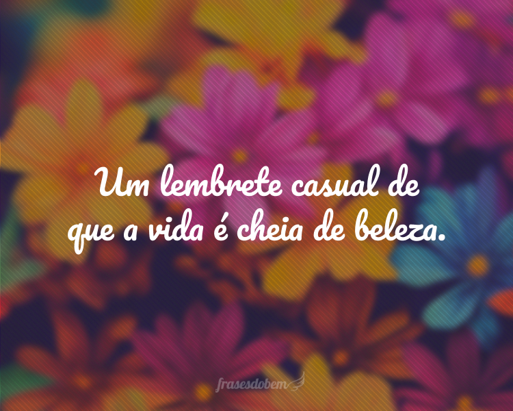 Um lembrete casual de que a vida é cheia de beleza.