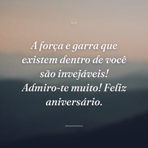 A força e garra que existem dentro de você são invejáveis! Admiro-te muito! Feliz aniversário.