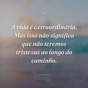 A vida é extraordinária. Mas isso não significa que não teremos tristezas ao longo do caminho.