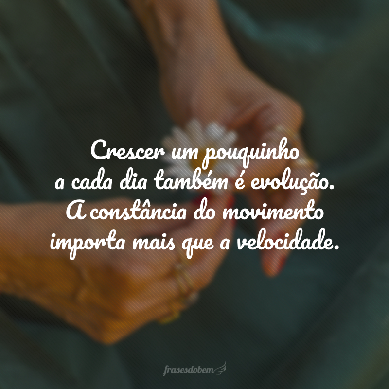 Crescer um pouquinho a cada dia também é evolução. A constância do movimento importa mais que a velocidade.