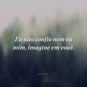Eu não confio nem eu mim, imagine em você.