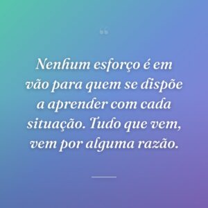 Nenhum esforço é em vão para quem se dispõe a aprender com cada situação. Tudo que vem, vem por alguma razão.