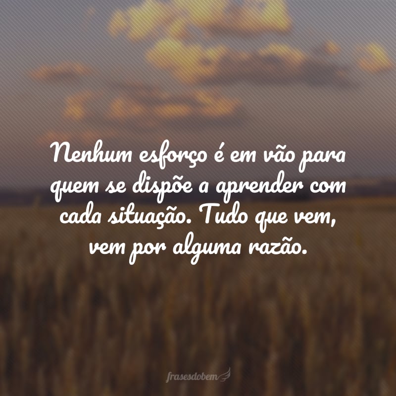 Nenhum esforço é em vão para quem se dispõe a aprender com cada situação. Tudo que vem, vem por alguma razão.