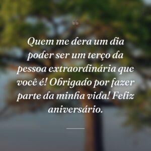 Quem me dera um dia poder ser um terço da pessoa extraordinária que você é! Obrigado por fazer parte da minha vida! Feliz aniversário.