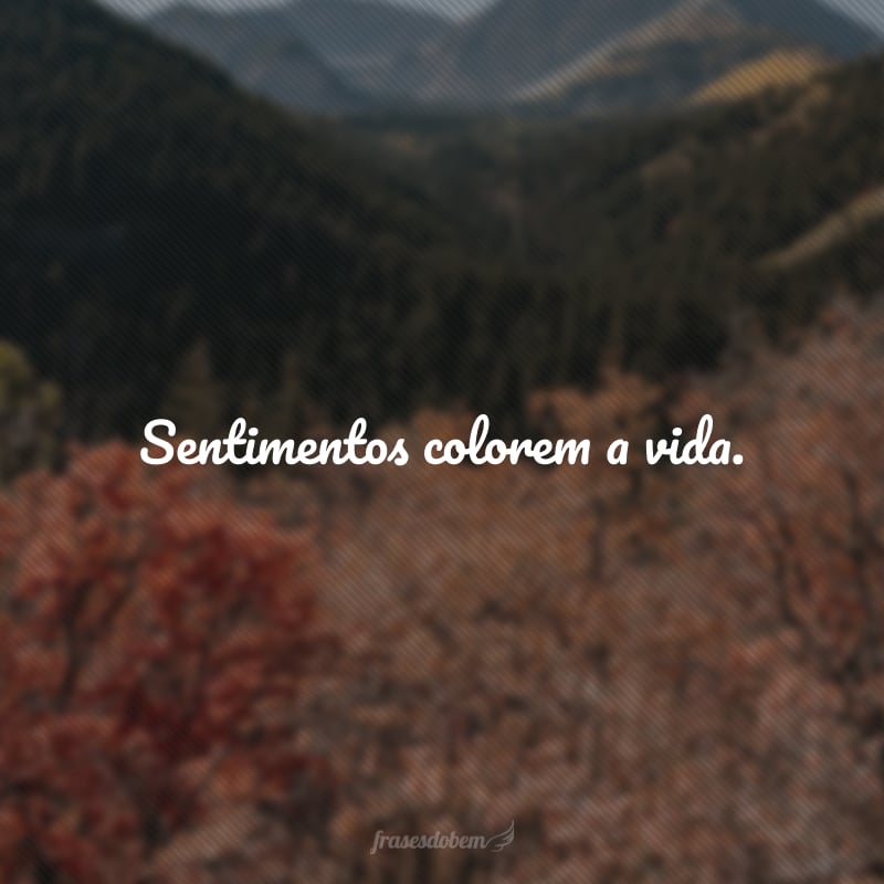 Sentimentos colorem a vida.