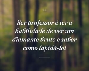 Ser professor é ter a habilidade de ver um diamante bruto e saber como lapidá-lo!