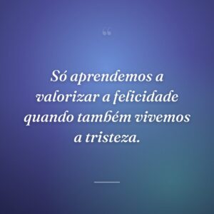 Só aprendemos a valorizar a felicidade quando também vivemos a tristeza.