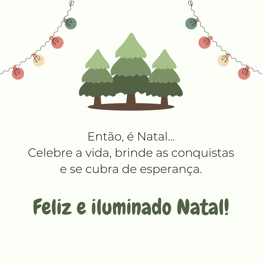 Então, é Natal... Celebre a vida, brinde as conquistas e se cubra de esperança. Feliz e iluminado Natal!