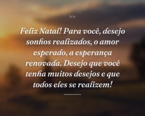 Feliz Natal! Para você, desejo sonhos realizados, o amor esperado, a esperança renovada. Desejo que você tenha muitos desejos e que todos eles se realizem!