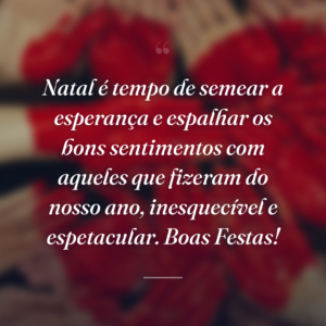 Natal é tempo de semear a esperança e espalhar os bons sentimentos com aqueles que fizeram do nosso ano, inesquecível e espetacular. Boas Festas!