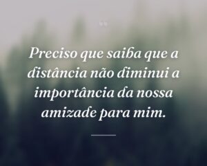 Preciso que saiba que a distância não diminui a importância da nossa amizade para mim.