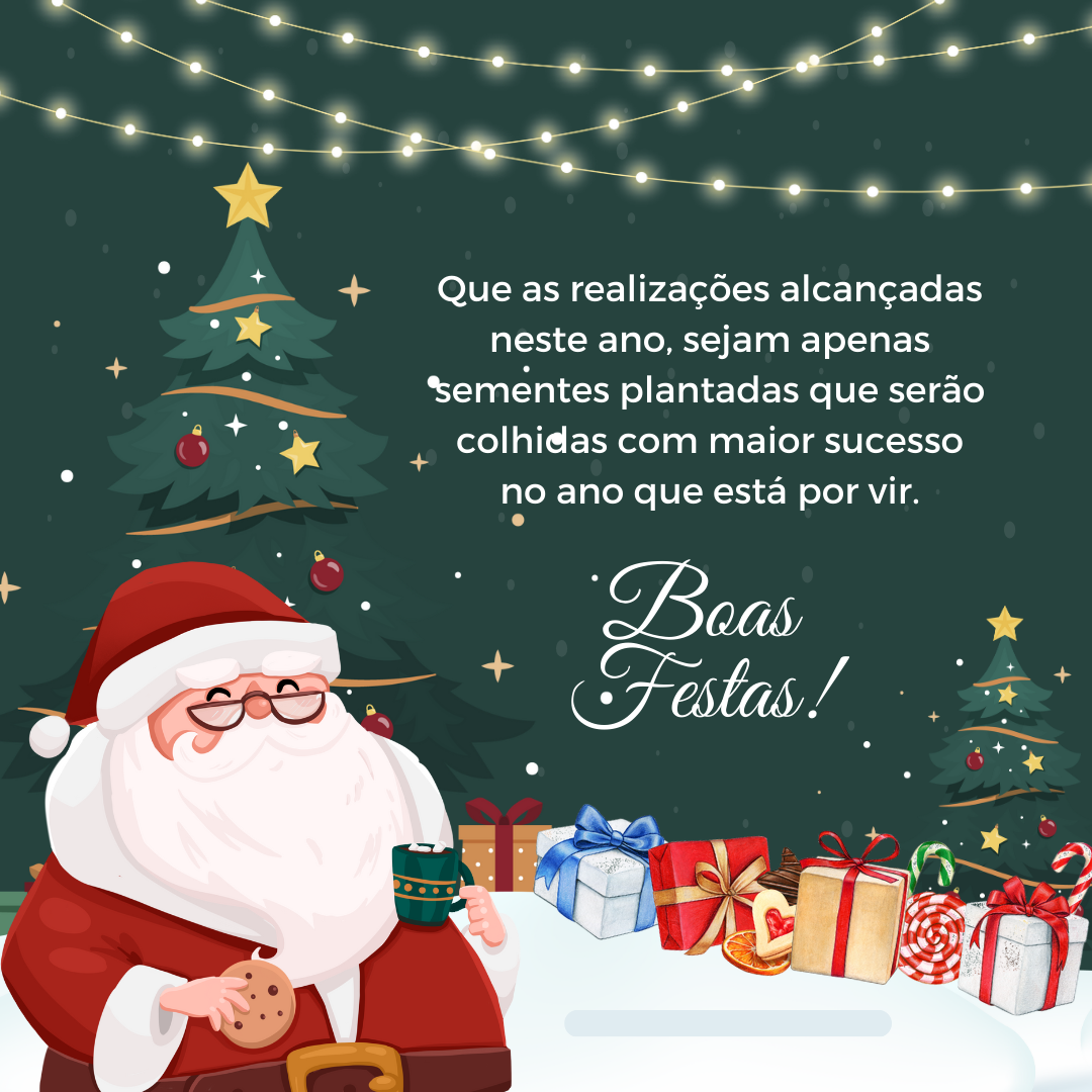 Que as realizações alcançadas neste ano, sejam apenas sementes plantadas que serão colhidas com maior sucesso no ano que está por vir. Boas Festas!