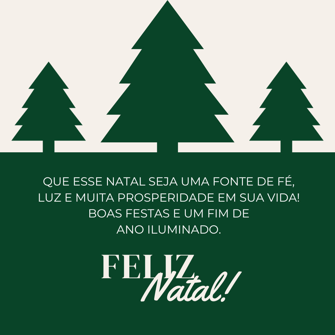 Que esse Natal seja uma fonte de fé, luz e muita prosperidade em sua vida! Boas Festas e um fim de ano iluminado. Feliz Natal!