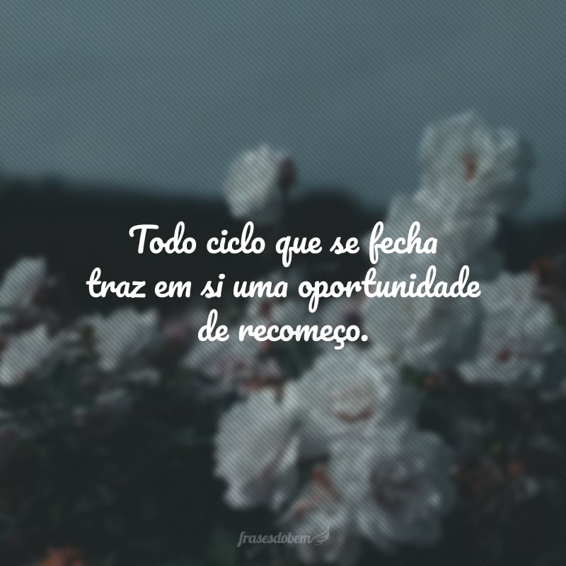 Todo ciclo que se fecha traz em si uma oportunidade de recomeço. Que, no próximo ano, você possa enfim se tornar a pessoa que sempre quis ser.