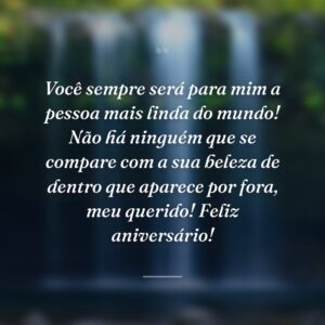 Você sempre será para mim a pessoa mais linda do mundo! Não há ninguém que se compare com a sua beleza de dentro que aparece por fora, meu querido! Feliz aniversário!