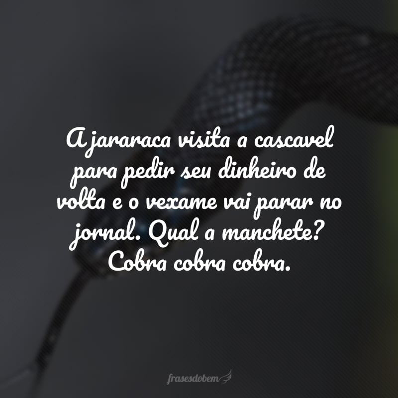 A jararaca visita a cascavel para pedir seu dinheiro de volta e o vexame vai parar no jornal. Qual a manchete? Cobra cobra cobra.