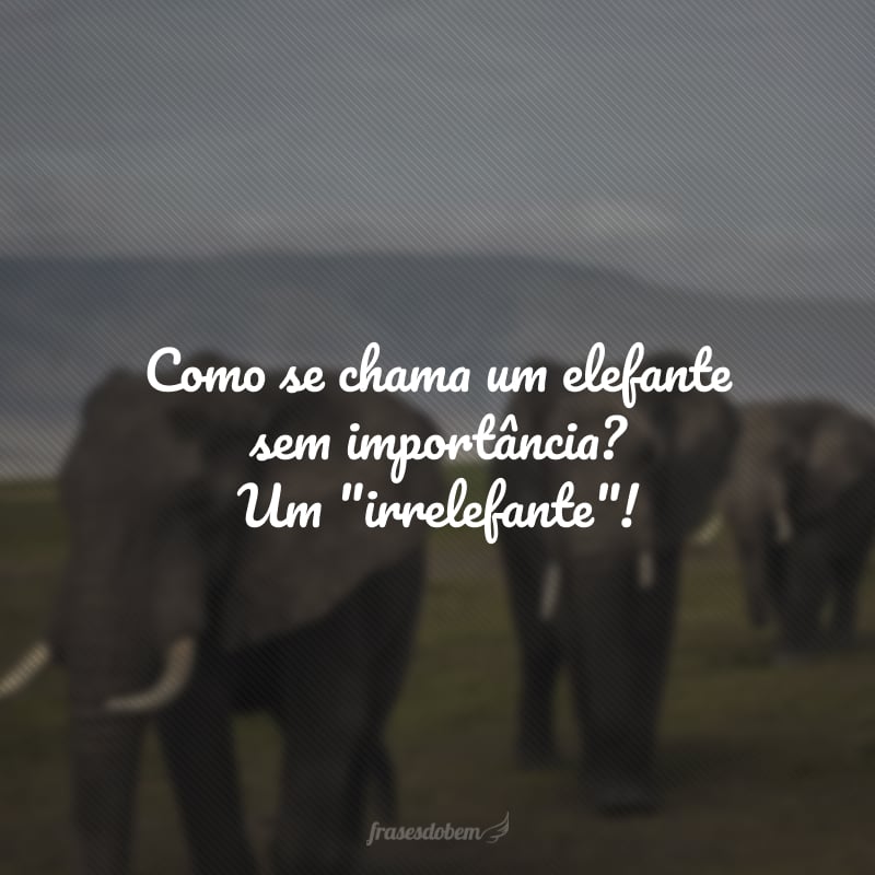 Como se chama um elefante sem importância? Um 