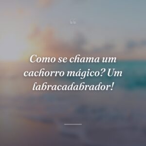 Como se chama um cachorro mágico? Um labracadabrador!