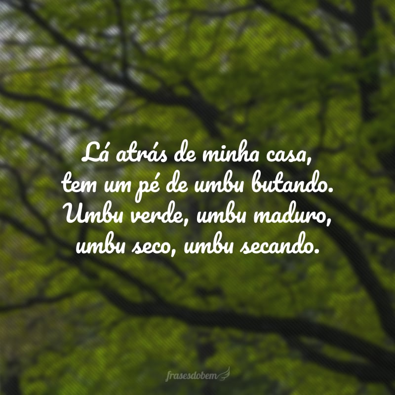 Lá atrás de minha casa, tem um pé de umbu butando. Umbu verde, umbu maduro, umbu seco, umbu secando.