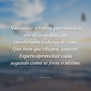 Não existe tristeza que resista à um de seus dias, tão ensolarados e cheios de vida. Que bom que chegou, janeiro! Espero aproveitar cada segundo como se fosse o último.