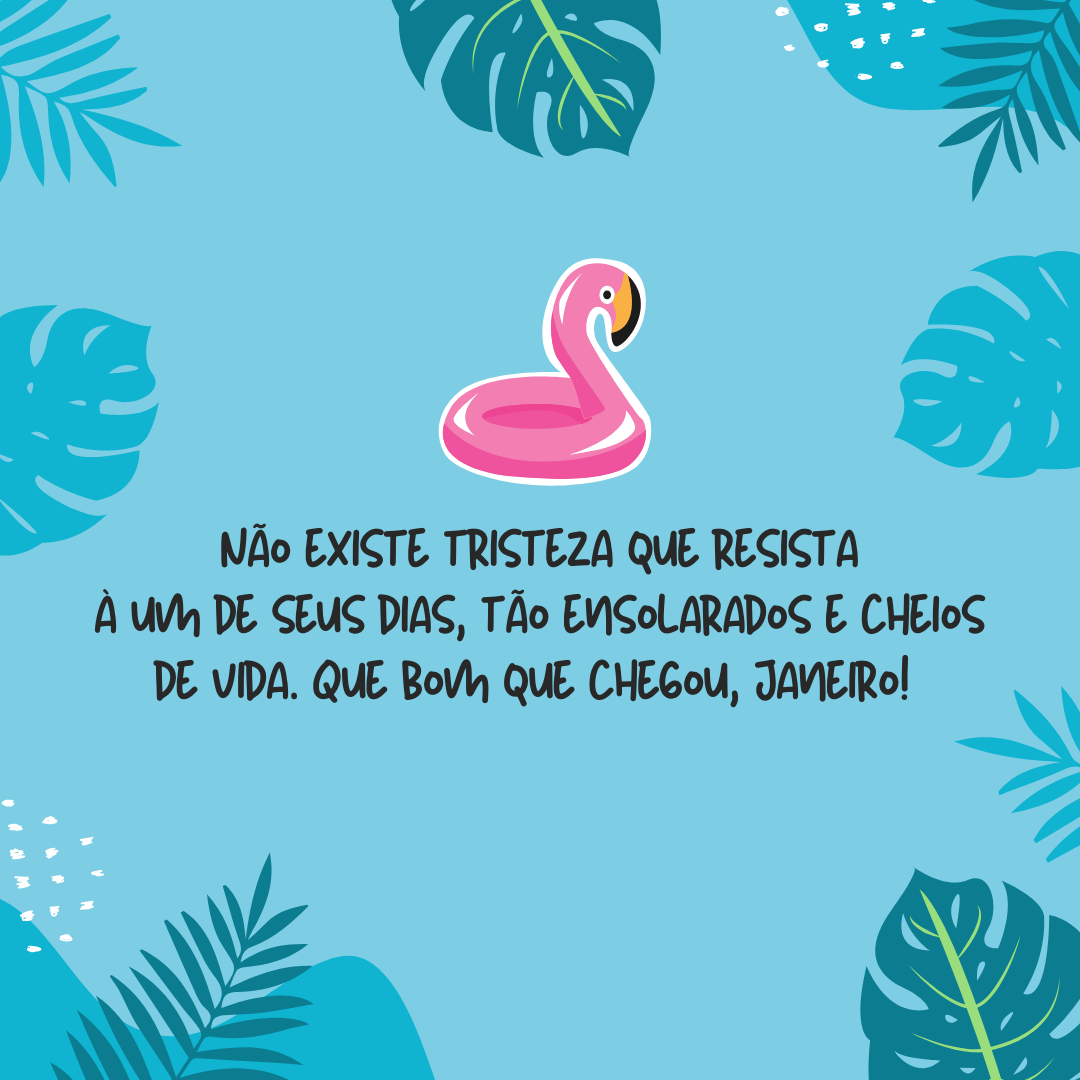 Não existe tristeza que resista à um de seus dias, tão ensolarados e cheios de vida. Que bom que chegou, janeiro! Espero aproveitar cada segundo como se fosse o último.