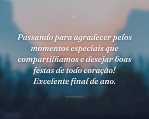 Passando para agradecer pelos momentos especiais que compartilhamos e desejar boas festas de todo coração! Excelente final de ano.