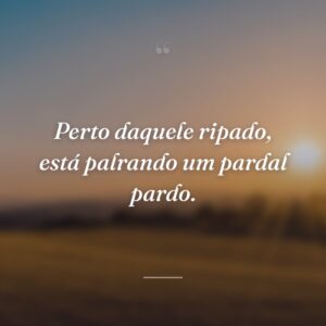 Perto daquele ripado, está palrando um pardal pardo.