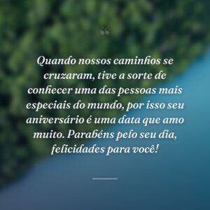 Quando nossos caminhos se cruzaram, tive a sorte de conhecer uma das pessoas mais especiais do mundo, por isso seu aniversário é uma data que amo muito. Parabéns pelo seu dia, felicidades para você!