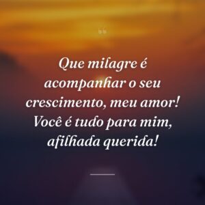 Que milagre é acompanhar o seu crescimento, meu amor! Você é tudo para mim, afilhada querida!