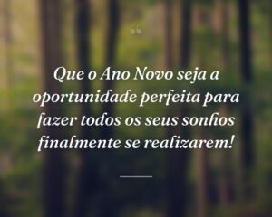 Que o Ano Novo seja a oportunidade perfeita para fazer todos os seus sonhos finalmente se realizarem!