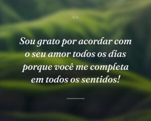 Sou grato por acordar com o seu amor todos os dias porque você me completa em todos os sentidos!