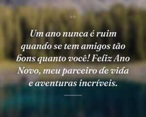 Um ano nunca é ruim quando se tem amigos tão bons quanto você! Feliz Ano Novo, meu parceiro de vida e aventuras incríveis.