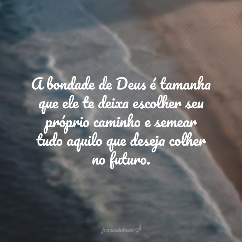 A bondade de Deus é tamanha que ele te deixa escolher seu próprio caminho e semear tudo aquilo que deseja colher no futuro.