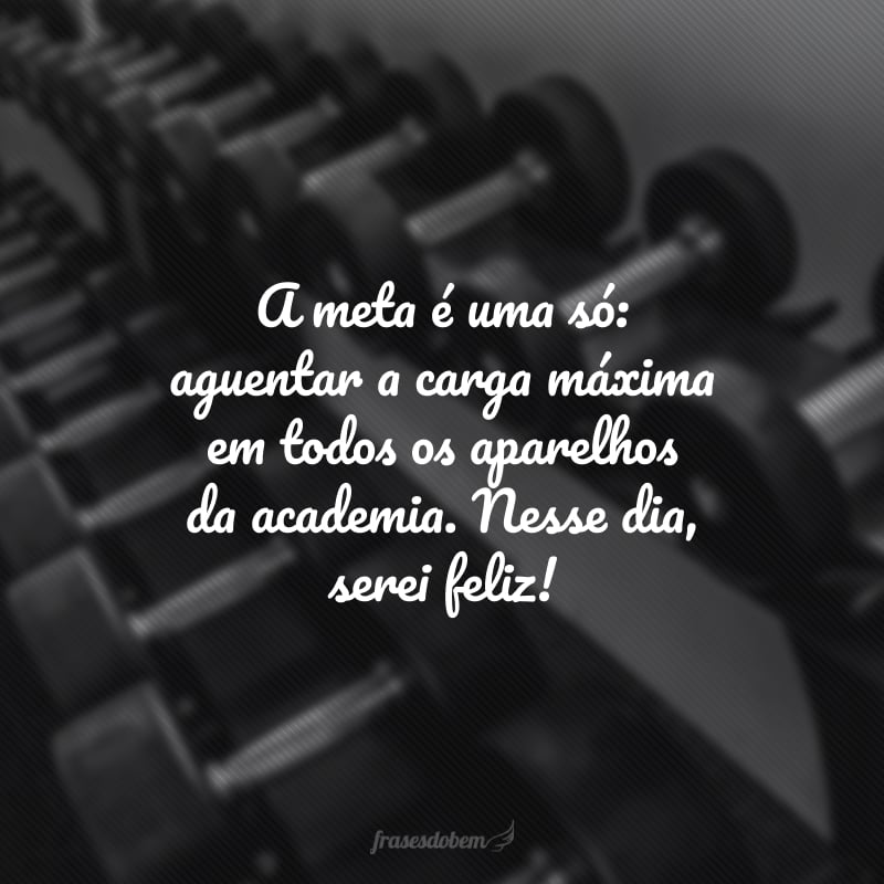 A meta é uma só: aguentar a carga máxima em todos os aparelhos da academia. Nesse dia, serei feliz!