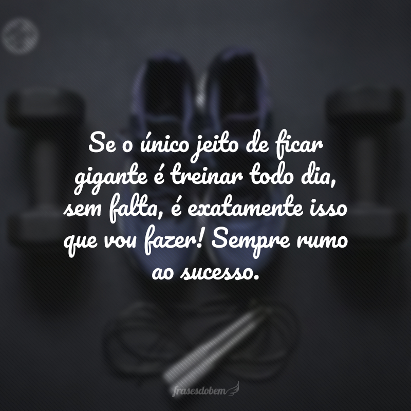 Se o único jeito de ficar gigante é treinar todo dia, sem falta, é exatamente isso que vou fazer! Sempre rumo ao sucesso.