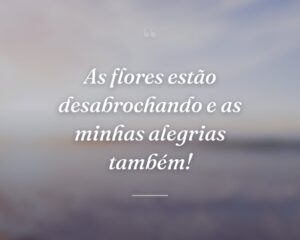 As flores estão desabrochando e as minhas alegrias também!